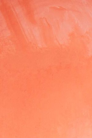 ELOQUII Launches Collaboration with Designer Melissa Mercedes