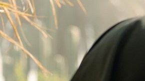 Selenis Leyva and Vico Ortiz in HBO Max's Our Flag Means Death