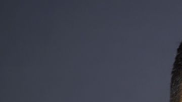 HOLLYWOOD, CALIFORNIA - APRIL 10: Wilmer Valderrama attends a salute to the NCIS universe celebrating "NCIS" "NCIS: Los Angeles" and "NCIS: Hawai'i" during the 39th Annual PaleyFest LA at Dolby Theatre on April 10, 2022 in Hollywood, California. (Photo by Rodin Eckenroth/FilmMagic)