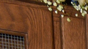 LOS ANGELES, CALIFORNIA - MARCH 23: Xolo Maridueña attends as Teen Vogue Celebrates New Hollywood at Grandmaster Recorders on March 23, 2022 in Los Angeles, California. (Photo by Vivien Killilea/Getty Images for Teen Vogue)