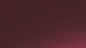 Oscar Isaac and Gael García Bernal