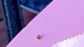 Pink and Boujee tacos