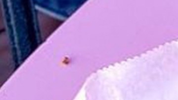 Pink and Boujee tacos