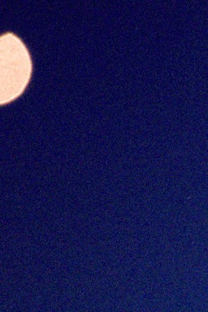 Photo by Luis Alejandro Marquez "Vomba."