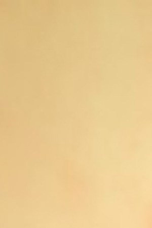 selena quintanilla_Entre a Mi Mundo