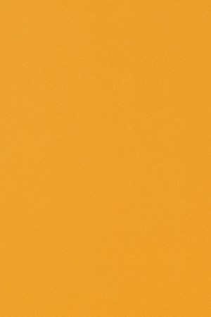 Bad Bunny-Un Verano Sin Ti_growth_EL Molusco