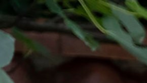 (L-R) ANDY GARCIA as Billy and ADRIA ARJONA as Sophie in Warner Bros. Pictures' and HBO Max’s Father of the Bride. Photo by Claudette Barius