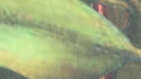 LOS ANGELES, CALIFORNIA - MARCH 30: George Lopez attends the Immersive Frida Kahlo Preview at the Lighthouse Artspace Los Angeles on March 30, 2022 in Los Angeles, California. (Photo by Vivien Killilea/Getty Images for Lighthouse Immersive and Impact Museums)