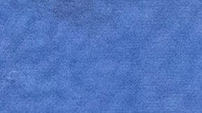 Shakira_Recording Registry