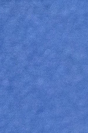 Shakira_Recording Registry