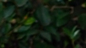 LAS VEGAS, NEVADA - NOVEMBER 14: Michael Peña attends the 20th annual Latin GRAMMY Awards at MGM Grand Garden Arena on November 14, 2019 in Las Vegas, Nevada. (Photo by Rodrigo Varela/Getty Images for LARAS)