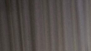 No. 1_Bad Bunny_Puerto Rican Day Parade