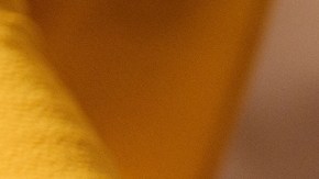 Mexican tamales on christmas table being put by a latin woman.