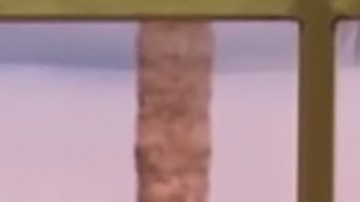 Courtesy of Youtube/SNL