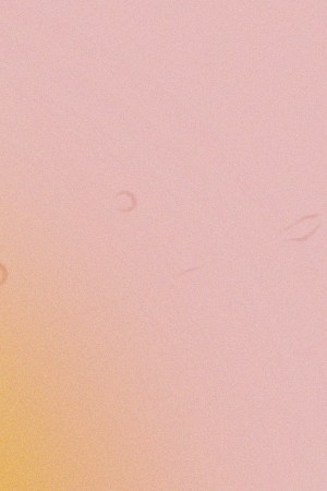 ulta-beauty-hair-2505