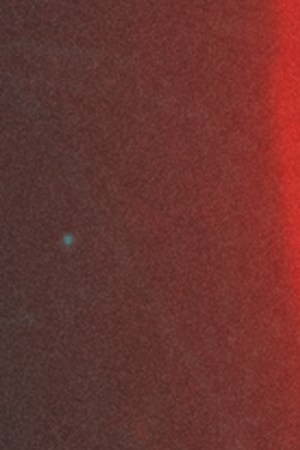 Courtesy of LATENIGHTJIGGY.