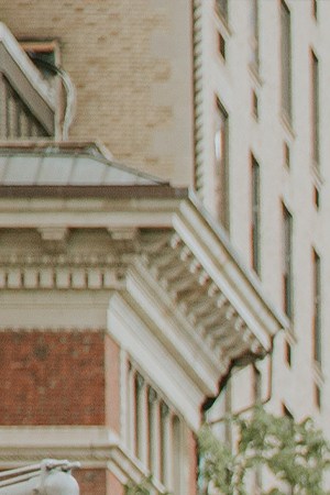 Photo Courtesy of HBO Max