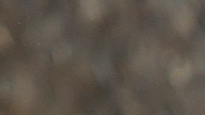 PORTOFINO, ITALY - MAY 21: Kendall Jenner and Devin Booker arriving for lunch at the Abbey of San Fruttuoso on May 21, 2022 in Portofino, Italy. (Photo by NINO/GC Images)