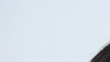 PARK CITY, UTAH - JANUARY 24: Eva Longoria and America Ferrera attend The Latinx House And Netflix Host Their Joint Kick-off Party At The 2020 Sundance Film Festival on January 24, 2020 in Park City, Utah. (Photo by Owen Hoffmann/Getty Images for The Latinx House)