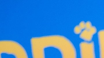 HOLLYWOOD, CA - JANUARY 10:  Paddington Bear attends the Los Angeles premiere of "Paddington" at TCL Chinese Theatre IMAX on January 10, 2015 in Hollywood, California.  (Photo by Vincent Sandoval/WireImage)