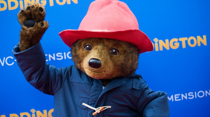 HOLLYWOOD, CA - JANUARY 10: Paddington Bear attends the Los Angeles premiere of "Paddington" at TCL Chinese Theatre IMAX on January 10, 2015 in Hollywood, California. (Photo by Vincent Sandoval/WireImage)