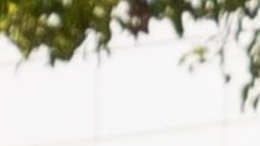 CANNES, FRANCE - MAY 24: Guillermo del Toro attends the 75th Anniversary celebration screening of "The Innocent (L'Innocent)" during the 75th annual Cannes film festival at Palais des Festivals on May 24, 2022 in Cannes, France. (Photo by Marc Piasecki/FilmMagic)