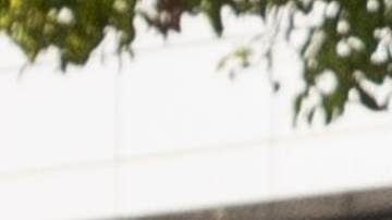 CANNES, FRANCE - MAY 24: Guillermo del Toro attends the 75th Anniversary celebration screening of "The Innocent (L'Innocent)" during the 75th annual Cannes film festival at Palais des Festivals on May 24, 2022 in Cannes, France. (Photo by Marc Piasecki/FilmMagic)