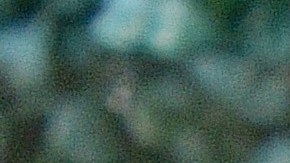 LOS ANGELES, CALIFORNIA - MARCH 16: Judy Reyes attends the Poderistas - The Poder Circle on March 16, 2022 in Los Angeles, California. (Photo by Araya Doheny/Getty Images for Poderistas)