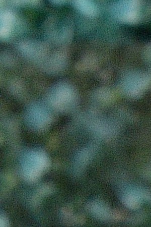 LOS ANGELES, CALIFORNIA - MARCH 16: Judy Reyes attends the Poderistas - The Poder Circle on March 16, 2022 in Los Angeles, California. (Photo by Araya Doheny/Getty Images for Poderistas)