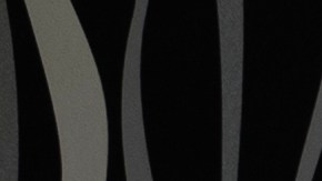 Photo by Lautaro Furiolo.