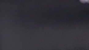 WESTWOOD, CA - NOVEMBER 19: (Editors Note: This image has been processed using digital filters) Tessa Thompson attends the premiere of Warner Bros. Pictures' 'Creed' at Regency Village Theatre on November 19, 2015 in Westwood, California. (Photo by Tibrina Hobson/Getty Images)