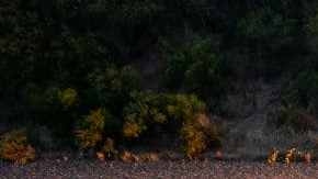 SAN ANTONIO, TX - JUNE 27: In this aerial view, members of law enforcement investigate a tractor trailer on June 27, 2022 in San Antonio, Texas. According to reports, at least 46 people, who are believed migrant workers from Mexico, were found dead in an abandoned tractor trailer. Over a dozen victims were found alive, suffering from heat stroke and taken to local hospitals. (Photo by Jordan Vonderhaar/Getty Images)