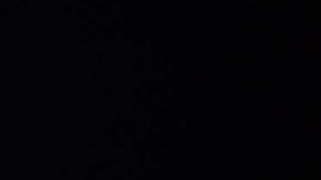 Camilo & Alejandro Sanz