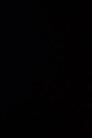 Camilo & Alejandro Sanz