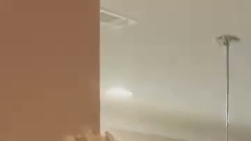 Family slapping each other with tortilla.