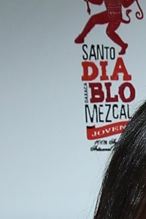 LOS ANGELES, CA - JUNE 29: (L-R) Ana de La Reguera and Alfonso Herrera attend the La Carmencita Celebrates Its Grand Opening on June 29, 2017 in Los Angeles, California. (Photo by Jonathan Leibson/Getty Images for The Brand Agency)