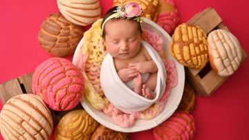 Concha Baby by Ashlee Struchen from Sweetest Snaps Photography