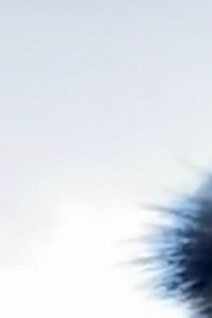 Emmanuel Todd Lopez from Knuckle Bump Farms