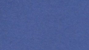 Sofia Vergara on red carpet for "America's Got Talent"