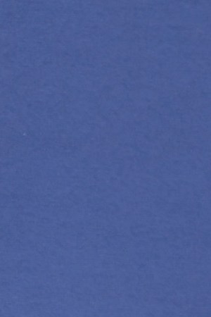 Sofia Vergara on red carpet for "America's Got Talent"