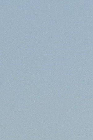 LOS ANGELES, CALIFORNIA - JULY 18: National League All-Star Juan Soto #22 of the Washington Nationals poses with the 2022 T-Mobile Home Run Derby trophy after winning the event at Dodger Stadium on July 18, 2022 in Los Angeles, California. (Photo by Kevork Djansezian/Getty Images)