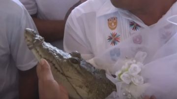 Mexican mayor marries alligator in traditional custom.