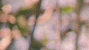 Snow tha Product_Foundry