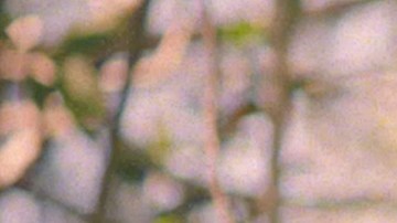 Snow tha Product_Foundry