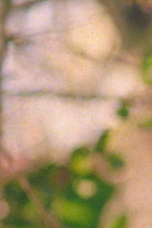 Snow tha Product_Foundry