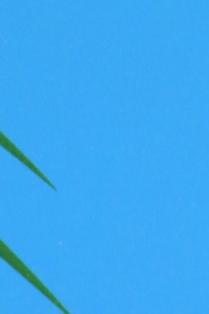 HOLLYWOOD, CALIFORNIA - FEBRUARY 18: Actress Sandra Echeverria attends premiere of "Las Pildoras De Mi Novio" at ArcLight Hollywood on February 18, 2020 in Hollywood, California. (Photo by JC Olivera/Getty Images)