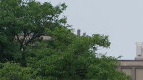 Officers guard the scene of the Fourth of July parade shooting in Highland Park, Illinois on July 4, 2022. - A shooter opened fire Monday during a parade to mark US Independence Day in the state of Illinois, killing at least six people, officials said. "At this time, two dozen people have been transported to Highland Park hospital. Six are confirmed deceased," Commander Chris O'Neil of the city's police told journalists. The suspected shooter, who is still at large, has been described as a white male aged 18-20 with longer black hair, O'Neil said. (Photo by Youngrae Kim / AFP) (Photo by YOUNGRAE KIM/AFP via Getty Images)