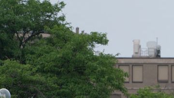 Officers guard the scene of the Fourth of July parade shooting in Highland Park, Illinois on July 4, 2022. - A shooter opened fire Monday during a parade to mark US Independence Day in the state of Illinois, killing at least six people, officials said. "At this time, two dozen people have been transported to Highland Park hospital. Six are confirmed deceased," Commander Chris O'Neil of the city's police told journalists. The suspected shooter, who is still at large, has been described as a white male aged 18-20 with longer black hair, O'Neil said. (Photo by Youngrae Kim / AFP) (Photo by YOUNGRAE KIM/AFP via Getty Images)