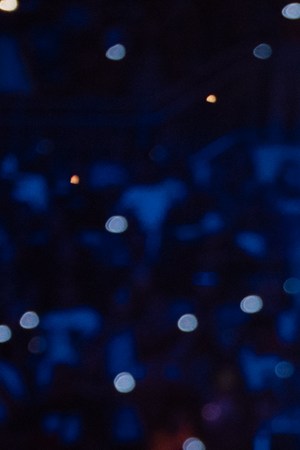 Photo Courtesy of Rafael Molina.