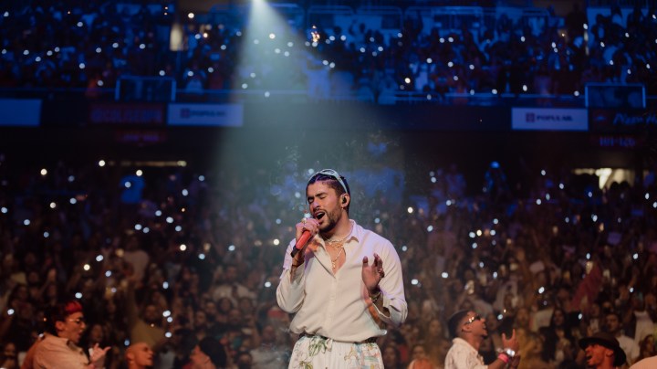 Photo Courtesy of Rafael Molina.